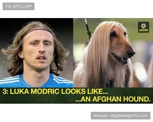 长得像猫的足球球星是谁？